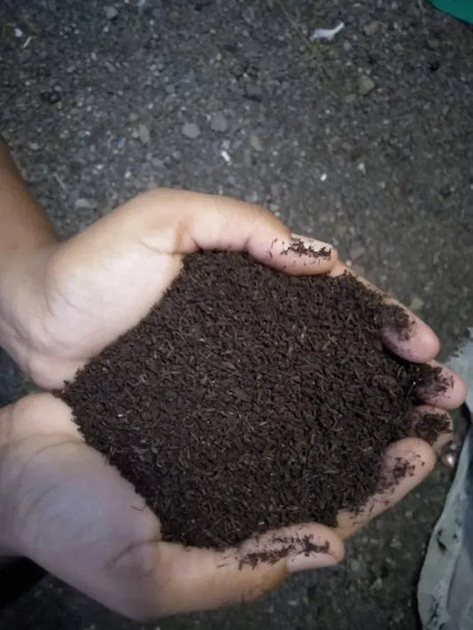 Vermicompost Fertilizer for Plants (Pack of 2)